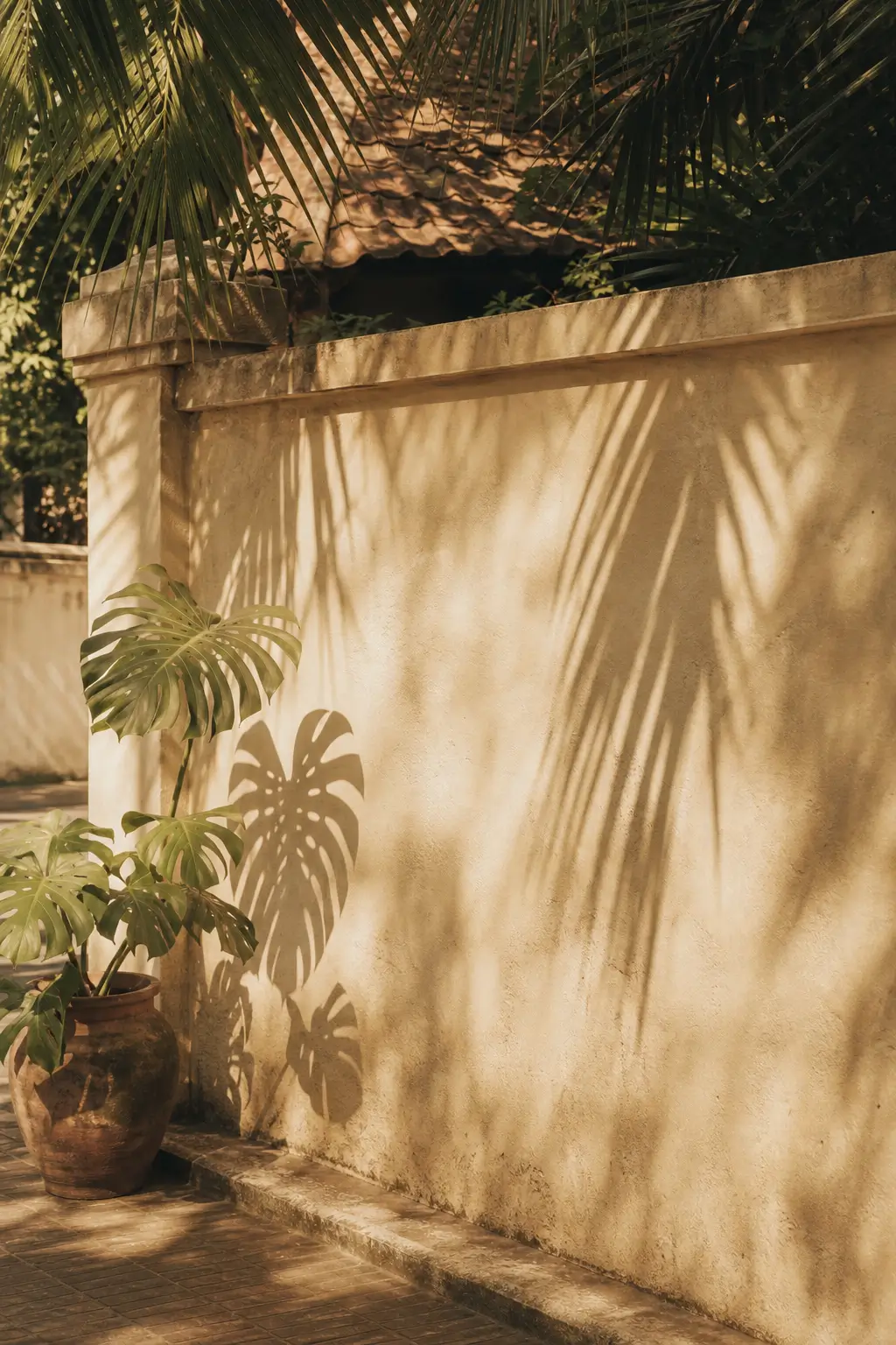 Morning light filtering through palm fronds in a quiet Chiang Mai soi